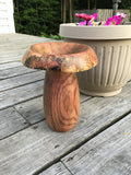 Spalted Multi-Colored Oak Wood Vase