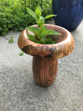 Spalted Multi-Colored Oak Wood Vase